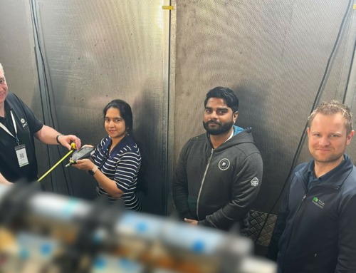 Vibration test with integrated acoustic measurement